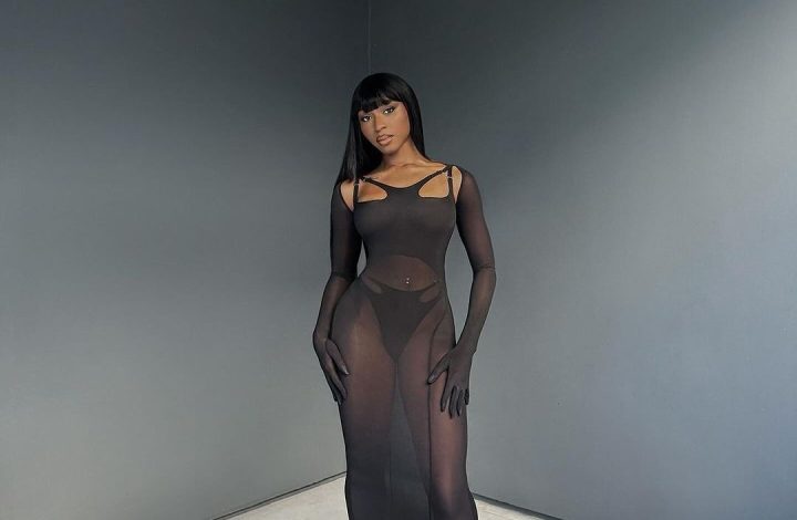 normani-posed-for-the-‘gram-in-a-$1,380-black-dion-lee-gloved-sheer-jersey-cutout-dress