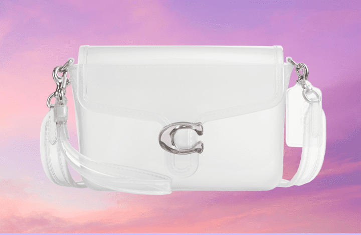 is-the-jelly-bag-this-summer’s-hottest-accessory?