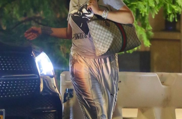 fashion-bomb-accessories:-rihanna-was-spied-in-new-york-city-with-a-gucci-gg-ophidia-tote-bag-with-gg-motif-and-web-stripe