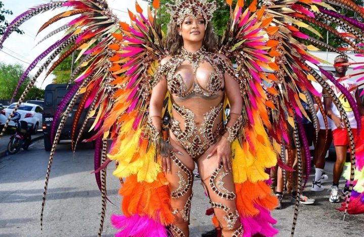 rihanna-shines-at-barbados-crop-over-2024-in-feathered-bejeweled-look-by-lauren-x-austin